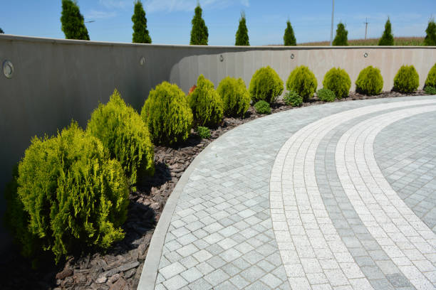 Best Driveway Paving Contractor  in Hannahs Mill, GA